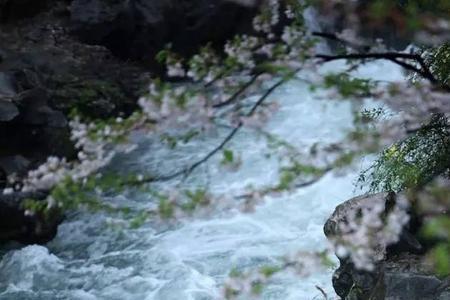 烟雨落红尘什么意思