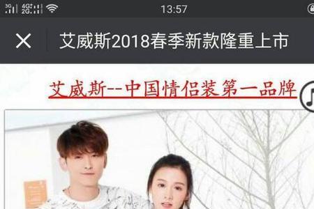 aiweis什么国家的牌子
