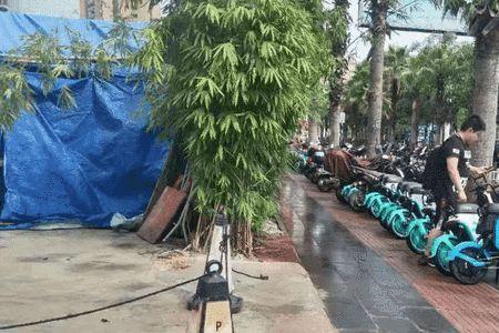 青桔电动车电池被偷了如何追回