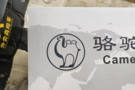 理士电池和骆驼哪个好