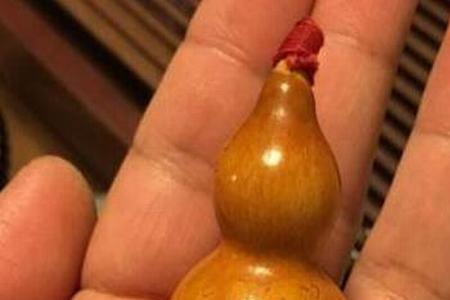 葫芦盘多久红