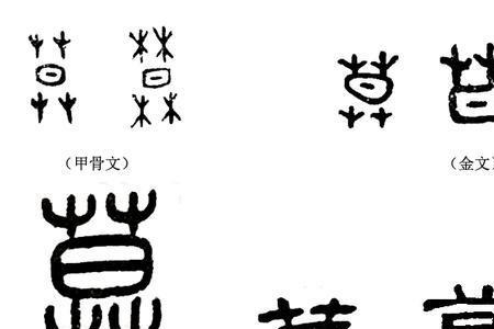 薅着读音