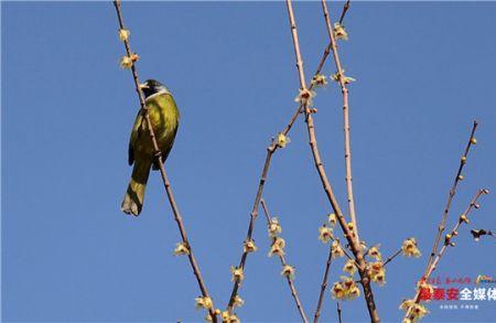 春风付过是什么意思