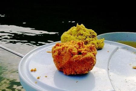 秋季奶香饵钓鲫鱼怎么样