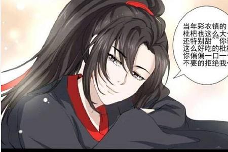 魏无羡有多爱含光君