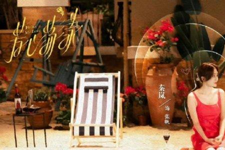 芳心荡漾秦岚王子异求婚第几集