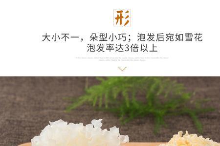 椴木小银耳和其它银耳的比较