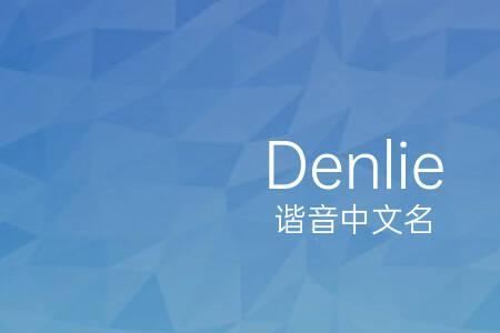 填写中文名是什么意思
