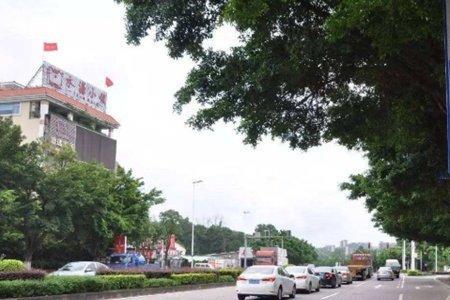 科目三可以先考试再刷学时吗