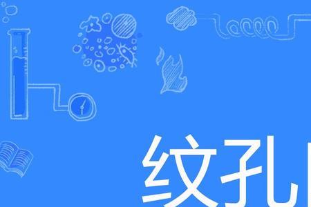 纹孔分为哪三种类型
