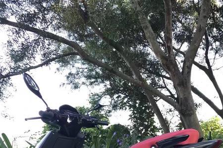 阿普利亚150缸压多少