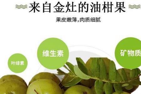 油甘和甜油甘的区别