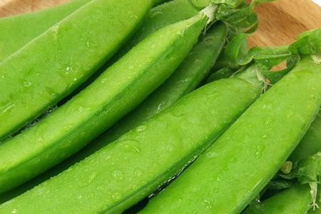 舌豆是什么菜