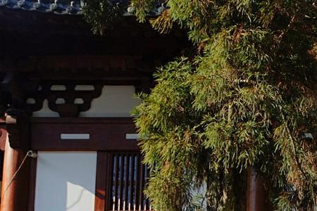 余杭径山寺海拔多少