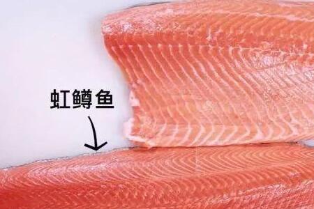 三文鱼和白鱼的区别