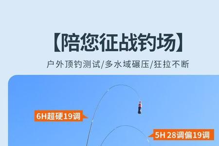 汉鼎世嘉鱼竿是正品吗