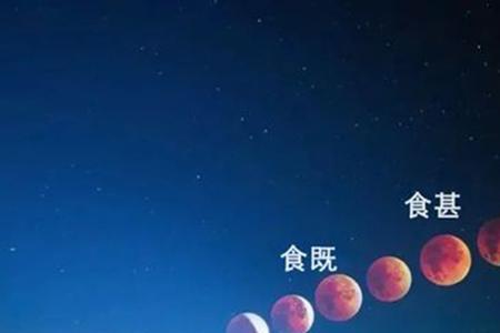 潮汐频率哪个字错了