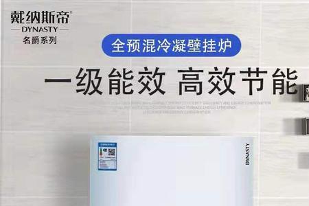 戴纳斯帝欧尚壁挂炉使用说明
