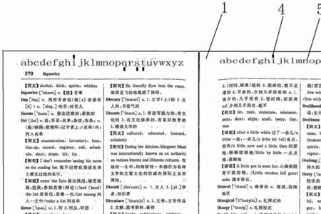 须在字典的哪一页