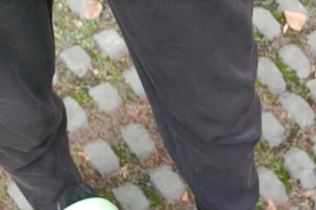 车把歪了怎么掰正