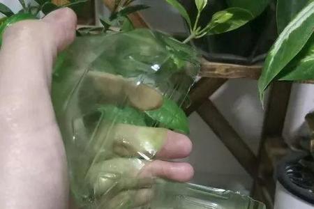 高锰酸钾可以放到矿泉水瓶里吗