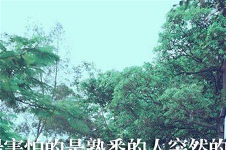 带了的字