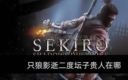 只狼苇明酒在哪买