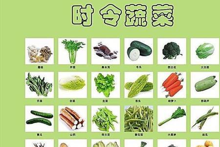 云南一年四季蔬菜种植表