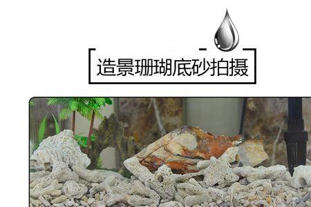 活石和人造石能混合造景吗
