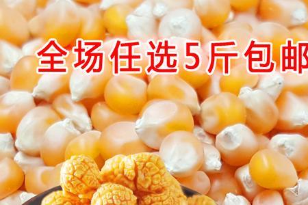 一斤玉米爆爆米花放多少糖
