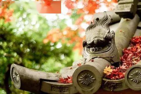待人温和什么意思