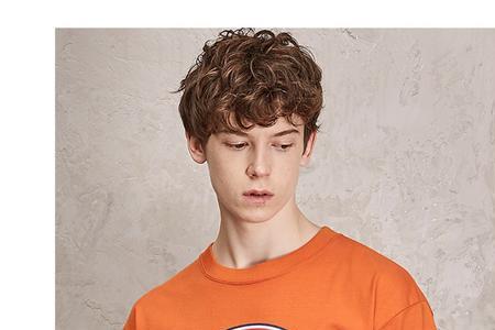 Dickies的男装短袖一般什么价位