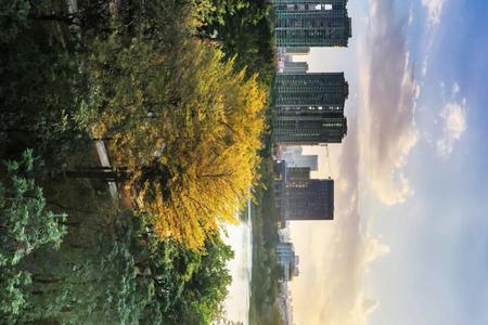 422626开头是哪座城市