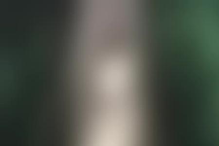 白月照楚渊名句