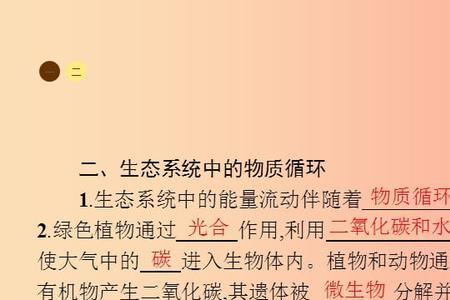 什么促进生态系统能量循环