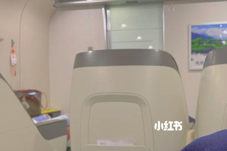 动车商务座独立通道进站吗