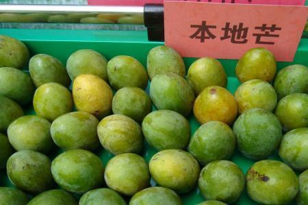 重庆的芒果是啥品种