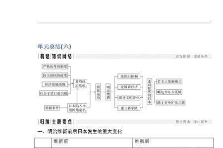 百年维新内容总结