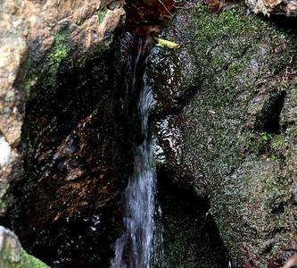 东莞水濂山哪里有山泉水