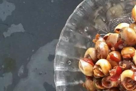 玉螺白灼要几分钟