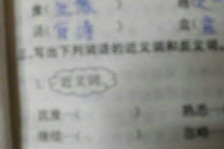 用户的同义词