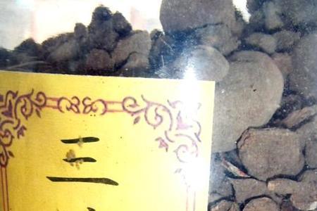 有种菜叫三月青还是三叶青