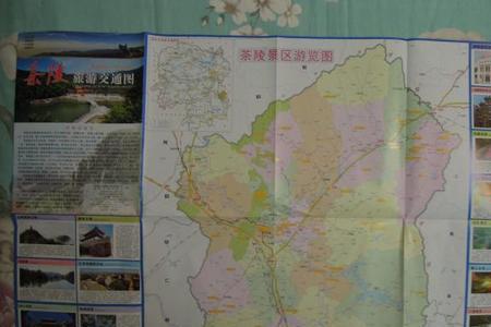 湖南株洲无犯罪记录怎么查询