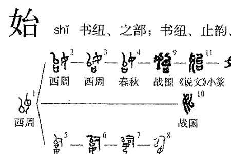 始须的意思