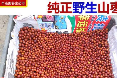 全国酸枣主产区