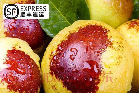 甜枣子什么意思