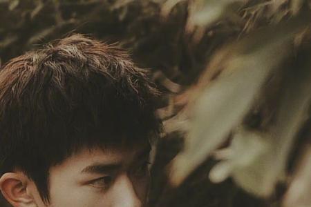 如斯少年意思