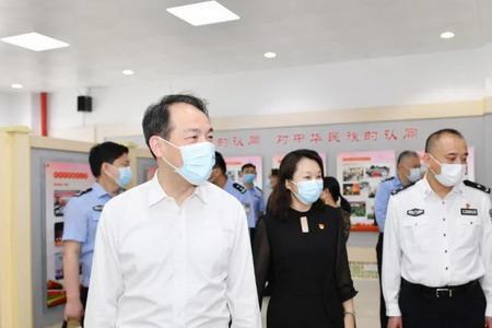 什么叫苏安行动
