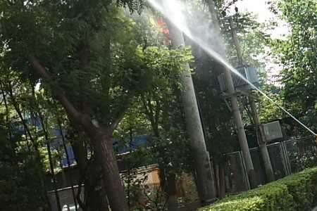 虫害防治哪个部门管