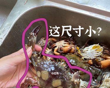 大闸蟹大小参照对照表